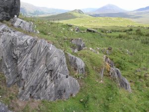 Cur Marble Folds