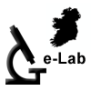 ge_lab1